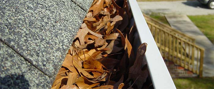 Camarillo Roofers at Roque's Roofing Cleaning Roof Gutters